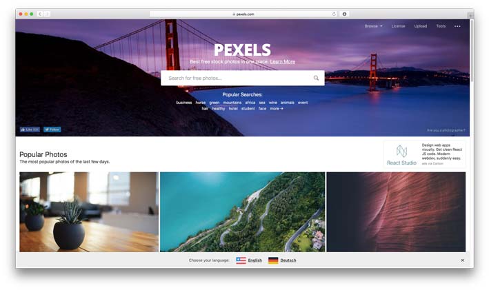 Pexels.com - Best Free Stock Photo Resource 